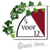 5voor12logo