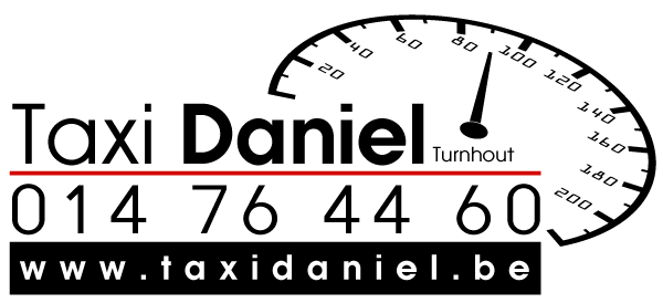 PortfolioProfile_TaxiDaniel_LogoBig